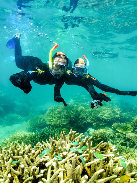 Snorkelers exploring coral reefs at Fitzroy & Green Islands.