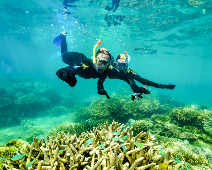 From Cairns: 2 Islands in 1 Day Trip of Fitzroy & Green Islands