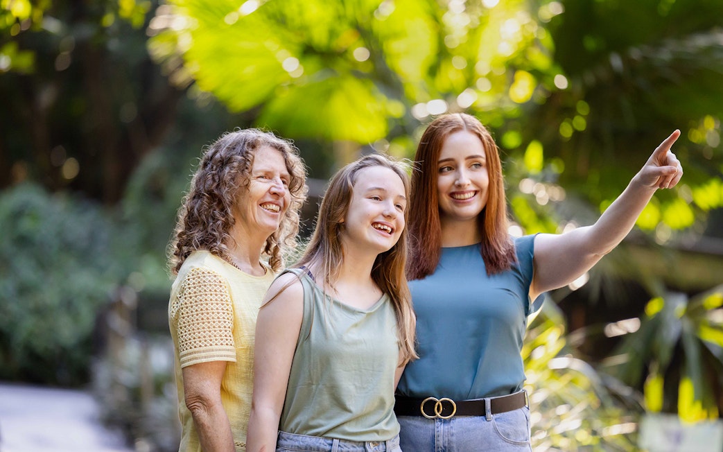 Tourists enjoying a day at Lone Pine Koala Sanctuary, surrounded by lush greenery.