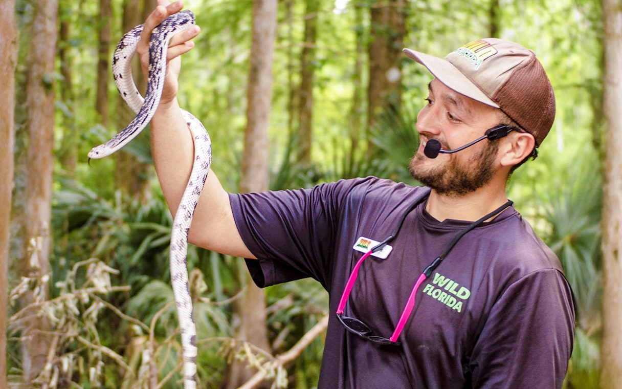 Expert handling snake at Everglades Wildlife Park.