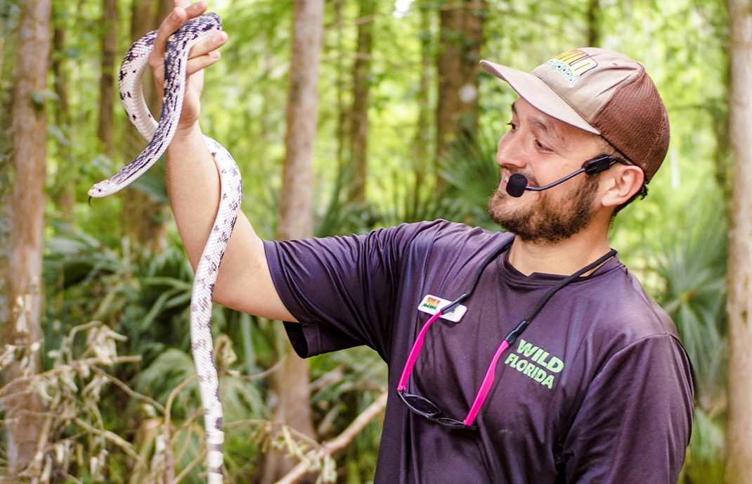 Expert handling snake at Everglades Wildlife Park.