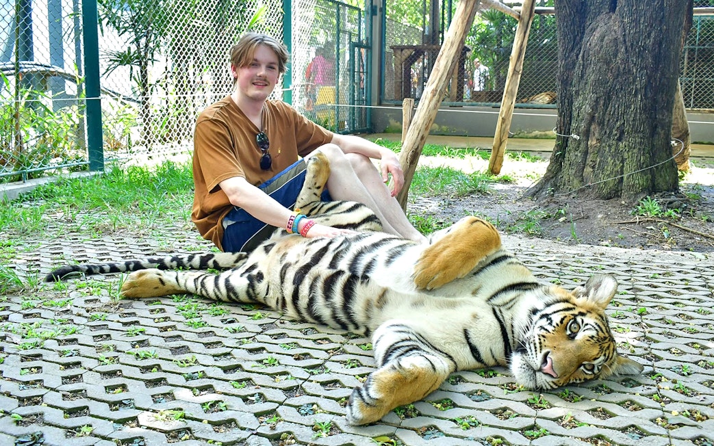 Person sitting with a tiger at Tiger Park Pattaya.
