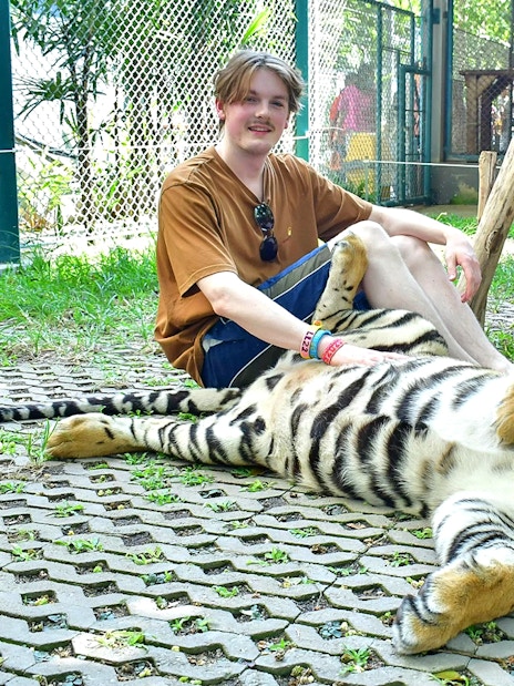 Person sitting with a tiger at Tiger Park Pattaya.