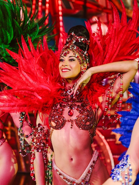 Performers in vibrant costumes at the Moulin Rouge Show, Paris.