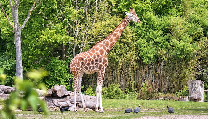 zoo leipzig