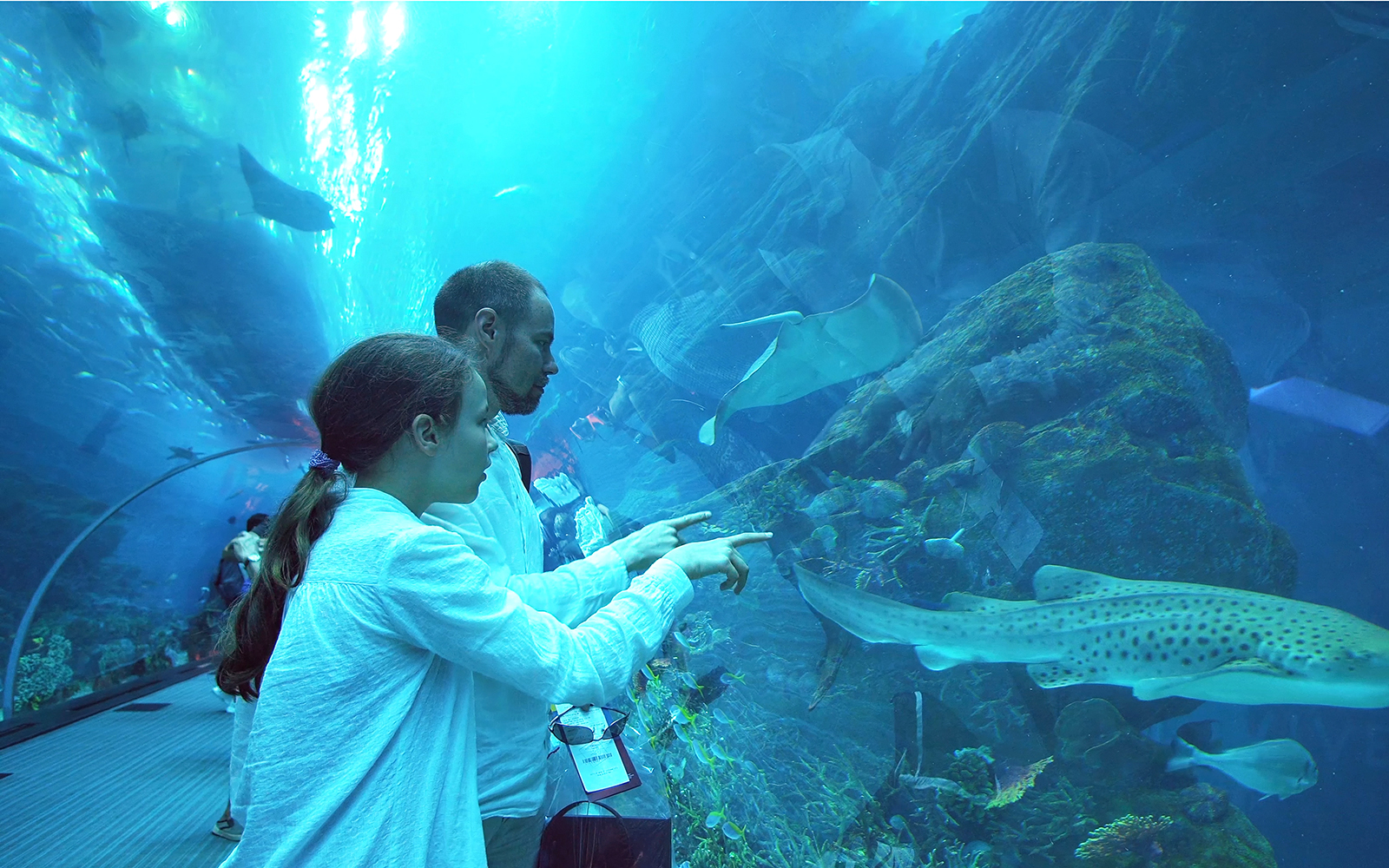 The expert with you at genoa aquarium