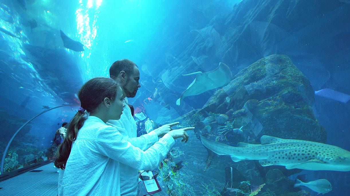 The expert with you at genoa aquarium