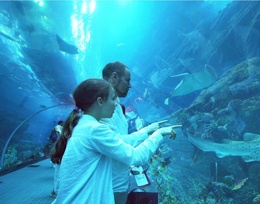 marine biologist with tourist