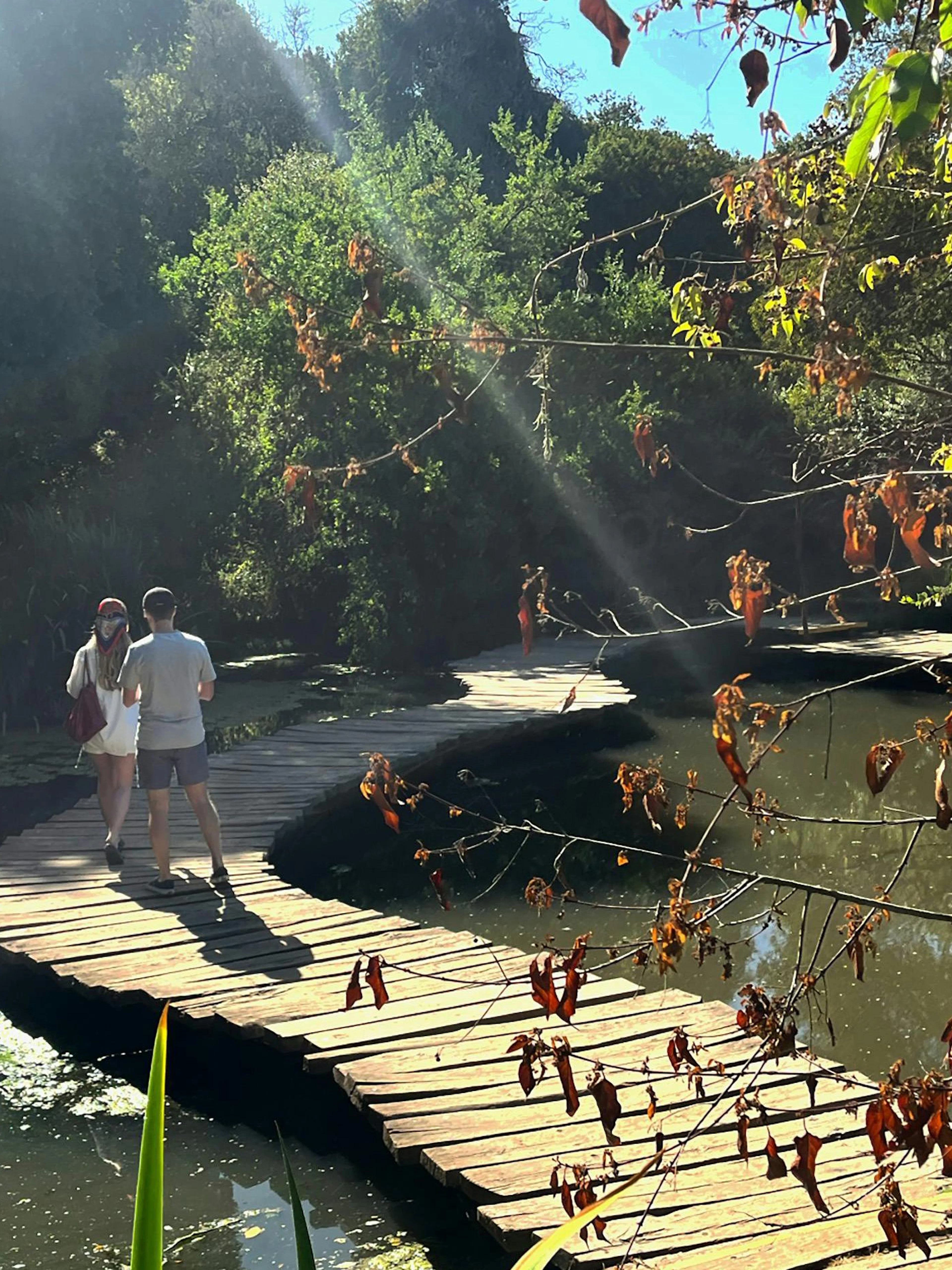 Visitors walking on a wooden footbridge at Parque Tricao, surrounded by lush greenery.