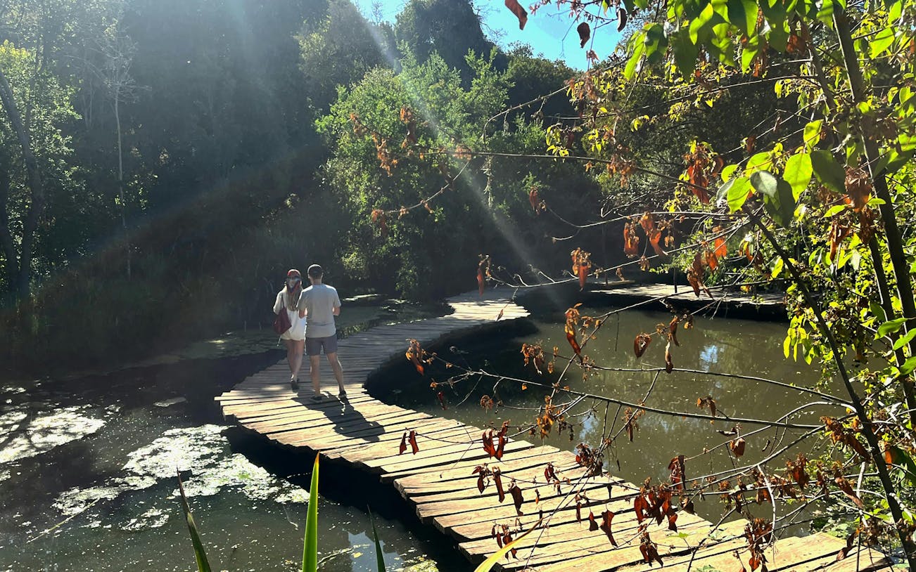 Visitors walking on a wooden footbridge at Parque Tricao, surrounded by lush greenery.