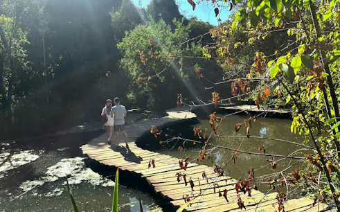 Visitors walking on a wooden footbridge at Parque Tricao, surrounded by lush greenery.