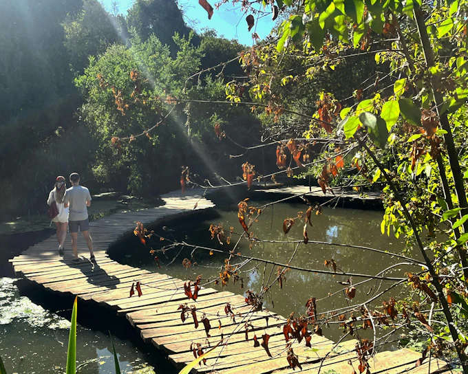Santiago: Tricao Park, Isla Negra, and Pablo Neruda's Museum