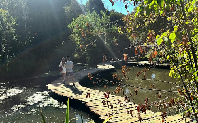 Visitors walking on a wooden footbridge at Parque Tricao, surrounded by lush greenery.