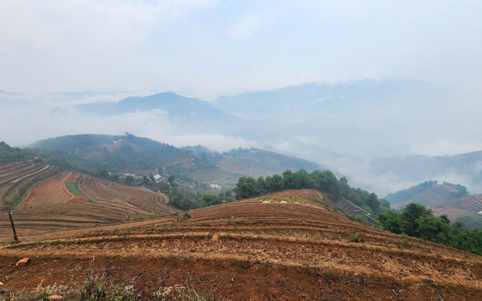 Mu Cang Chai rice terraces with misty mountains in the background, Vietnam.