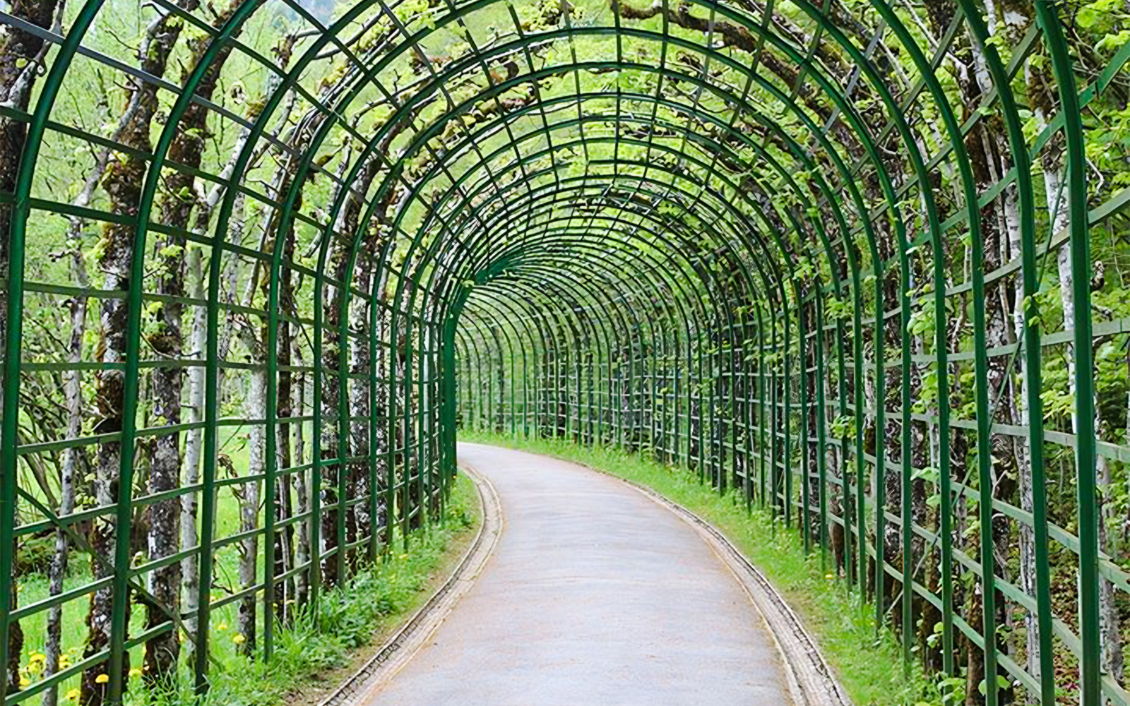 Pathway through green trellis archway in Linderhof Palace gardens.