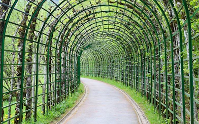 Pathway through green trellis archway in Linderhof Palace gardens.