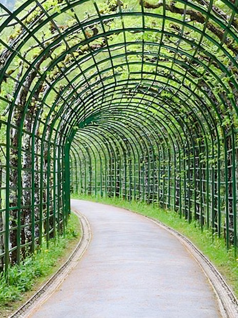 Pathway through green trellis archway in Linderhof Palace gardens.