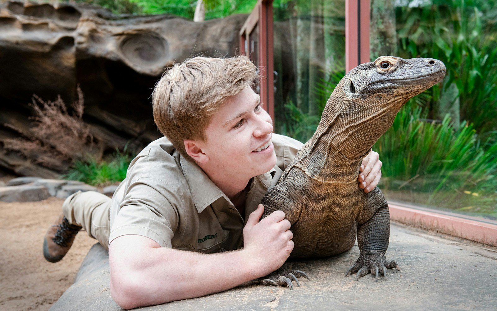 Colossal Komodo Encounter