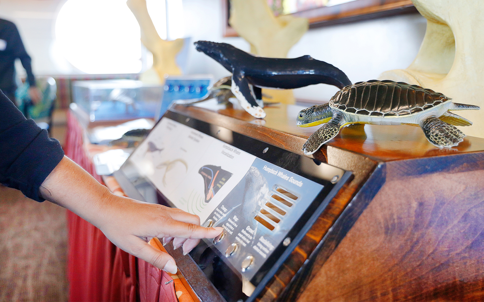 Guest using information screen about whales on Oahu cruise.