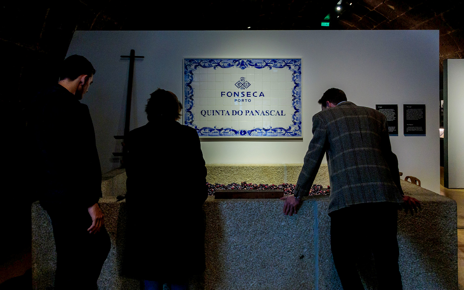 Visitors examining grapes at Fonseca Port Wine Cellars, Quinta do Panascal tour.