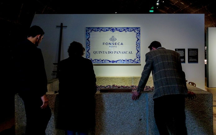 Visitors examining grapes at Fonseca Port Wine Cellars, Quinta do Panascal tour.