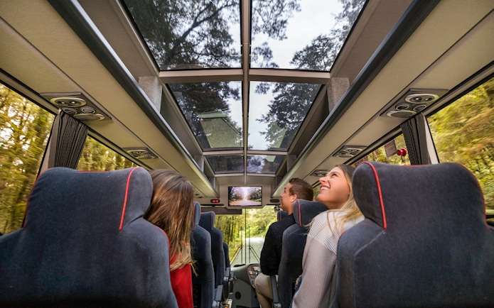 Passengers enjoying views through glass roof on coach to Milford Sound.