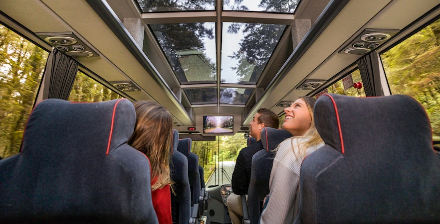 Passengers enjoying views through glass roof on coach to Milford Sound.