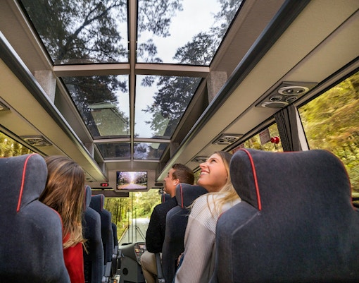 Passengers enjoying views through glass roof on coach to Milford Sound.