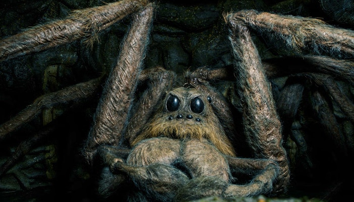 Giant spider prop from Harry Potter Warner Bros. Studio Tour, London.