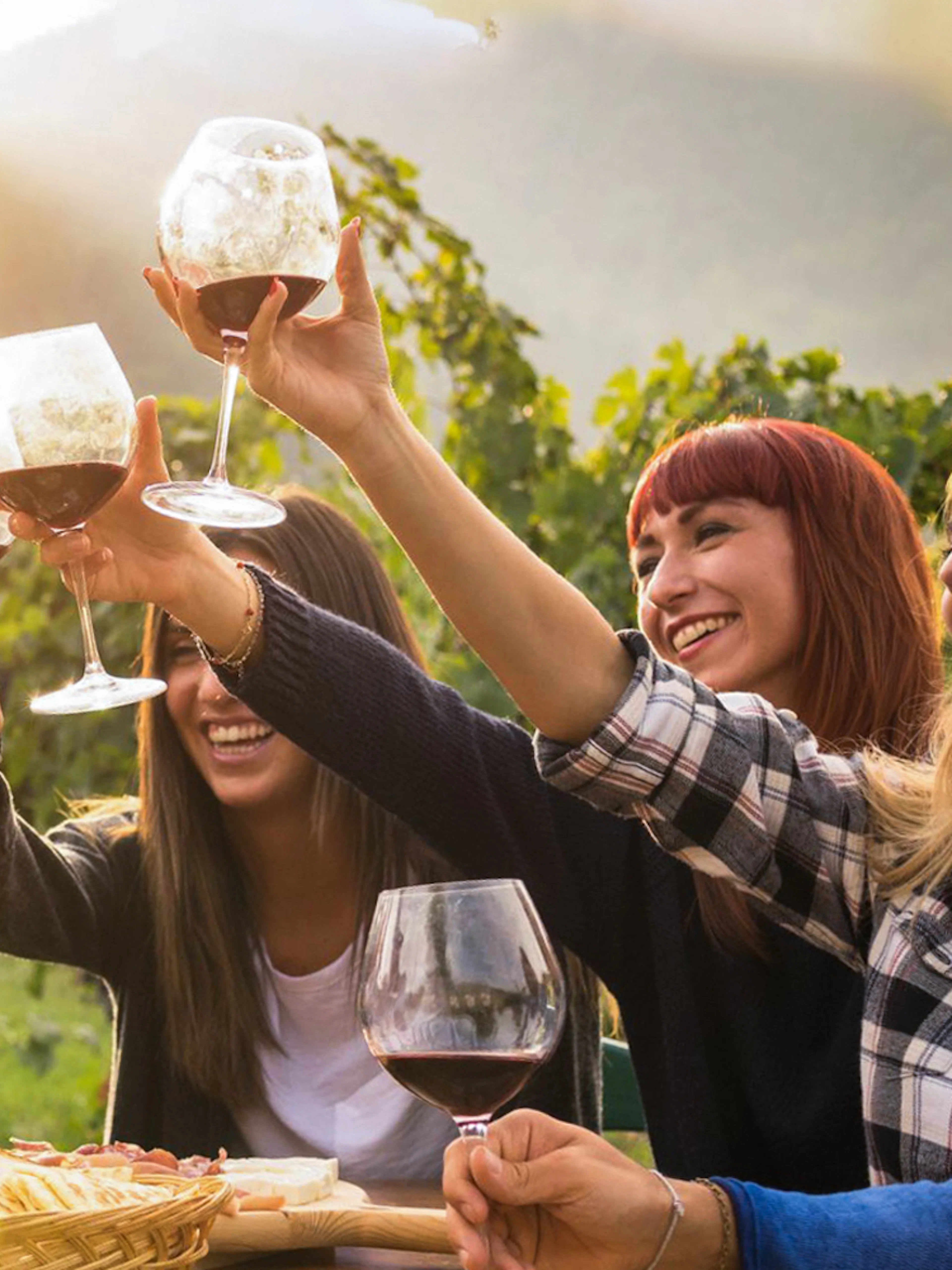 Group toasting with wine glasses at Mornington Peninsula vineyard tour.