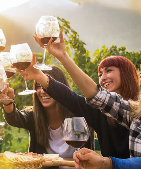 Group toasting with wine glasses at Mornington Peninsula vineyard tour.