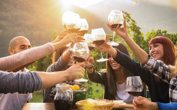 Group toasting with wine glasses at Mornington Peninsula vineyard tour.