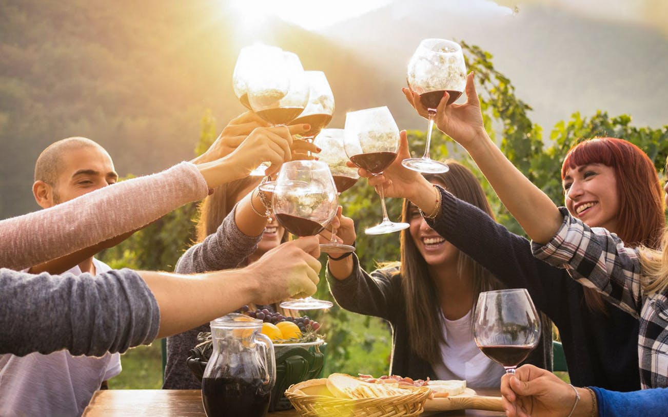 Group toasting with wine glasses at Mornington Peninsula vineyard tour.