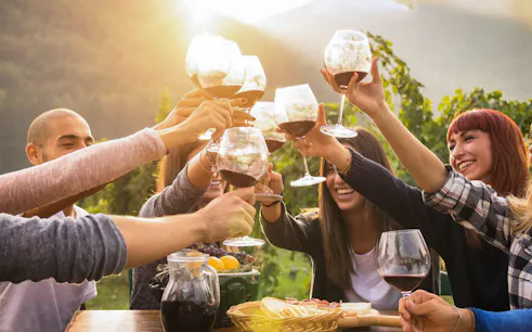 Group toasting with wine glasses at Mornington Peninsula vineyard tour.