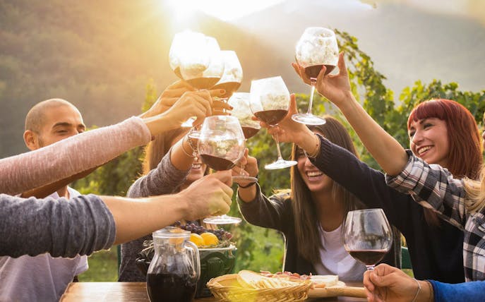 Group toasting with wine glasses at Mornington Peninsula vineyard tour.