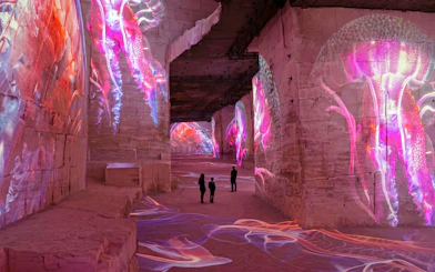Immersive ocean-themed projections at Carrières des Lumières, featuring vibrant jellyfish visuals.