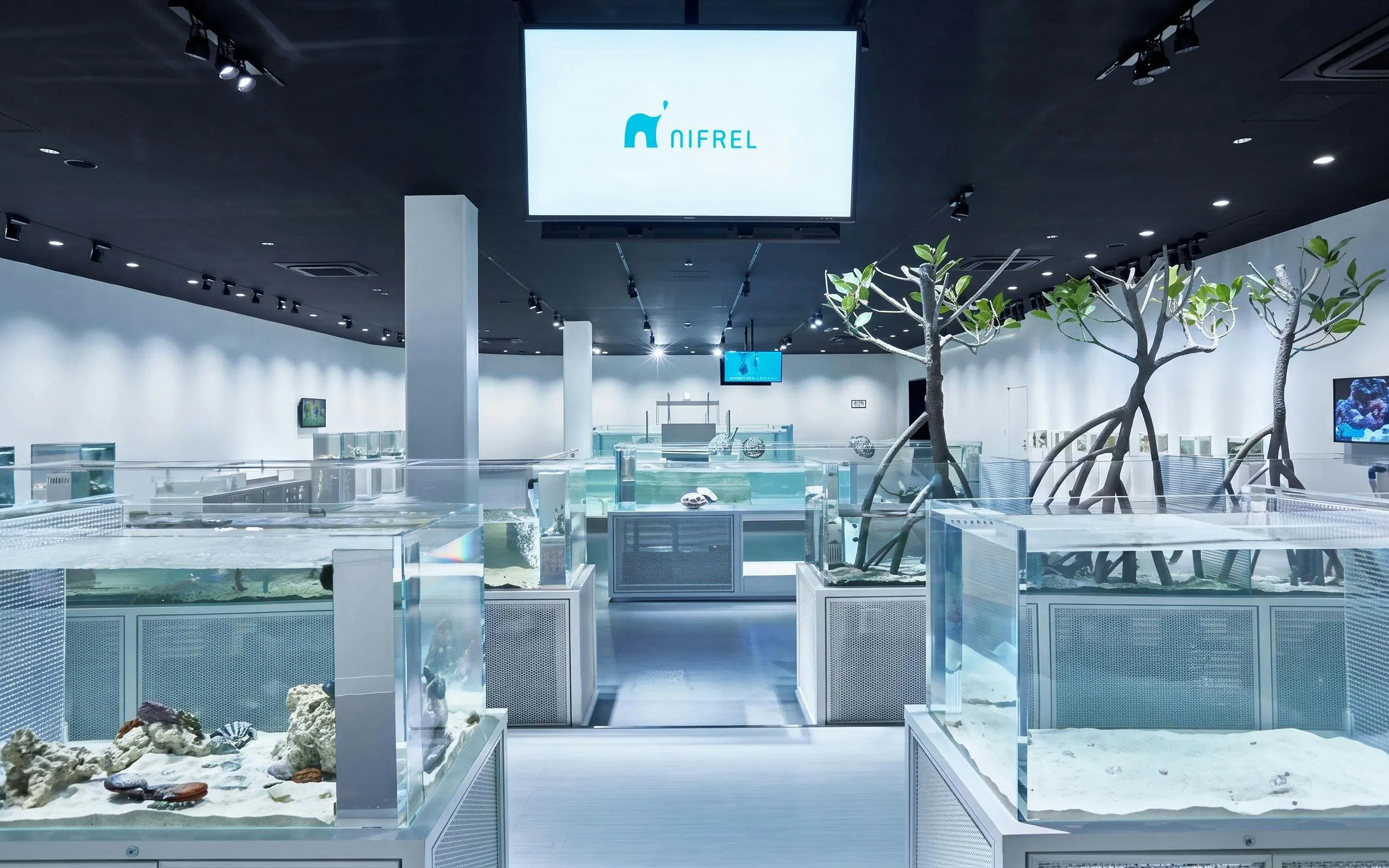 NIFREL Interactive Aquazoo interior with aquarium displays and mangrove trees.