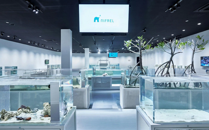 NIFREL Interactive Aquazoo interior with aquarium displays and mangrove trees.