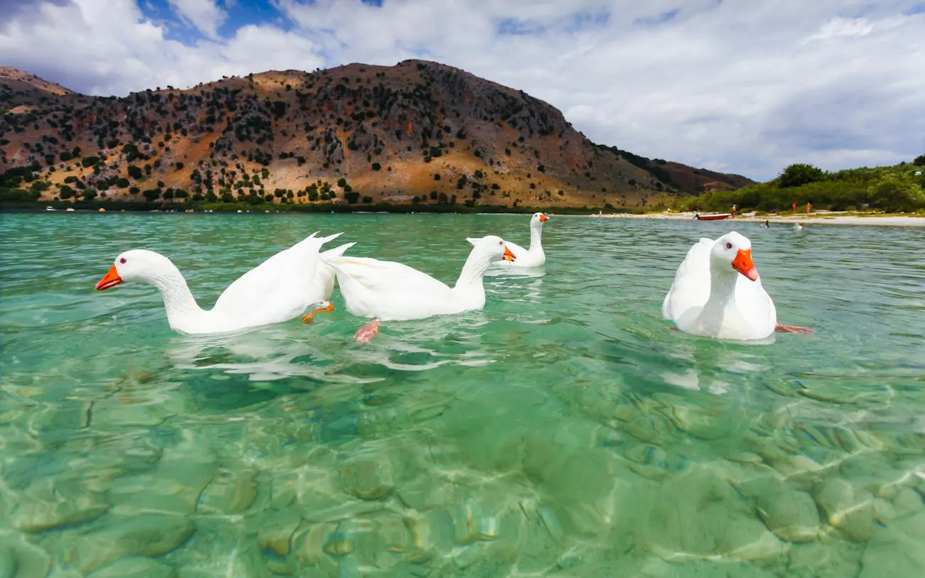 Chania Private Full-Day Tour with Hotel Pickup: City Sights and Lake Kournas