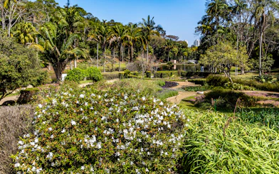 Lush greenery and blooming flowers at Jardim Botânico, Sao Paulo.
