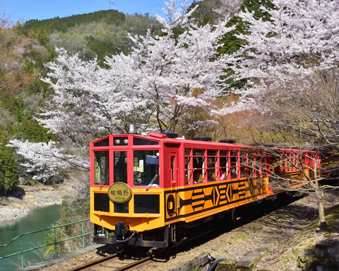 Sagano Romantic Train Ticket: Saga to/from Kameoka