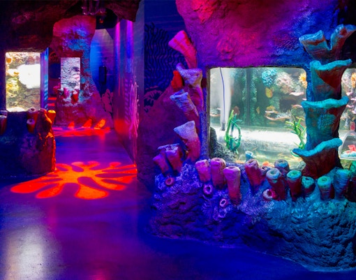 Coral Atoll - SEA LIFE Melbourne