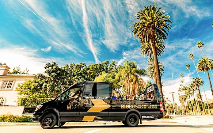 Tour bus driving through palm-lined street on Celebrity Homes Tour in Los Angeles.