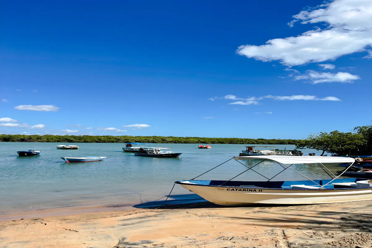 Boats anchored near the shore in Icaraí de Amontada, with mangroves in the background.