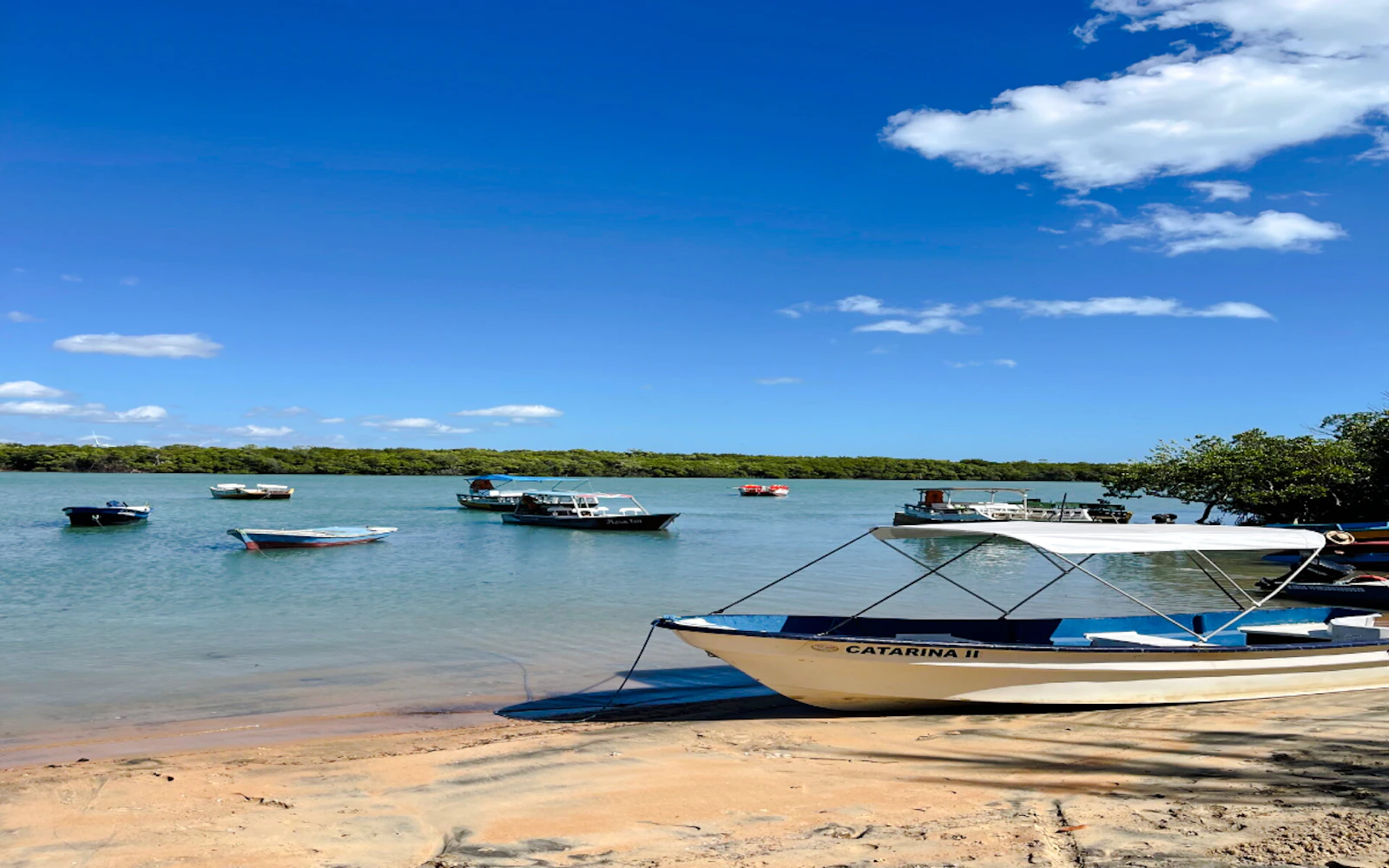 Icaraí de Amontada Mangrove Tunnel and Oyster Island Boat Tour (Product 55794)