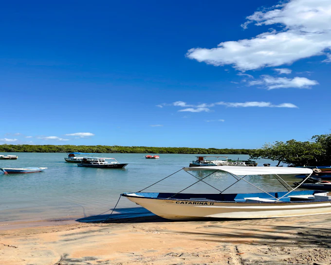 Icaraí de Amontada Mangrove Tunnel and Oyster Island Boat Tour (Product 55794)