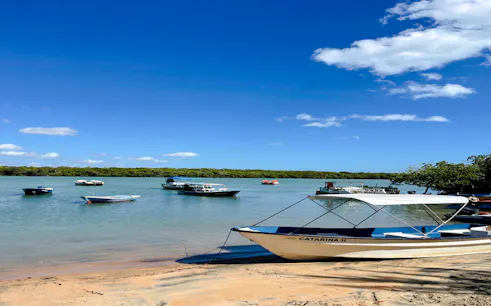 Boats anchored near the shore in Icaraí de Amontada, with mangroves in the background.