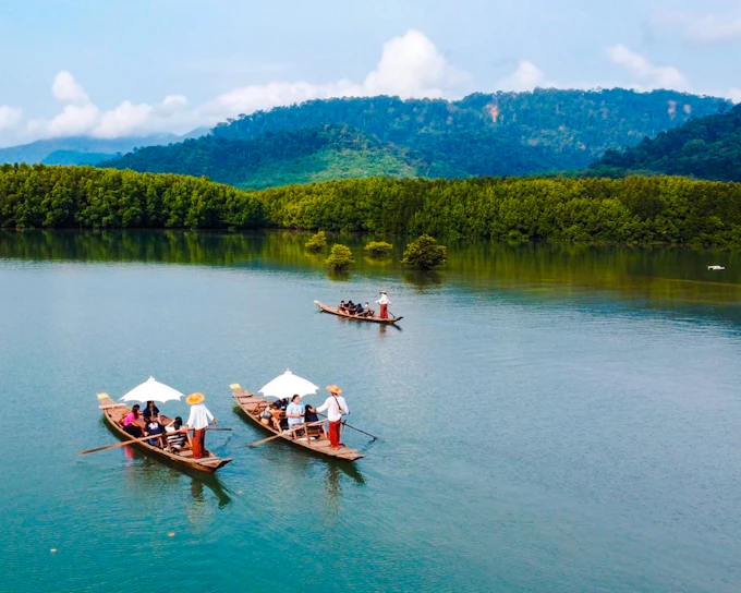 Koh Chang Private Salak Khok Mangrove Gondola Boat Tour