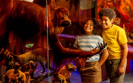 Kids observing primate exhibit at Our Wondrous Planet, Melbourne Museum.