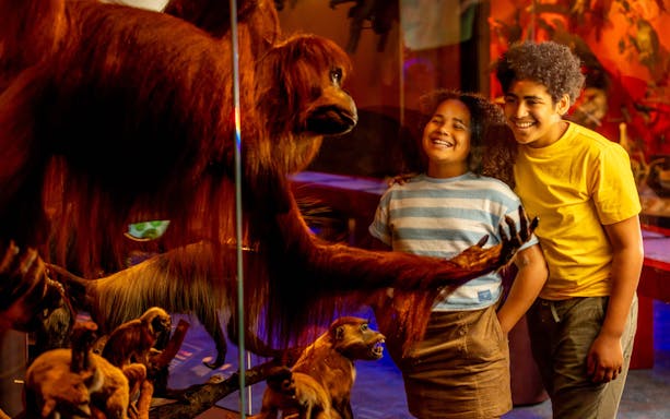 Kids observing primate exhibit at Our Wondrous Planet, Melbourne Museum.